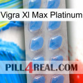 Vigra Xl Max Platinum 22